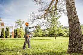 Best Tree Health Inspection  in Clintondale, NY